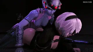 Preview at 00:08