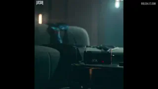 Cammy Loud Moaning [Project Vega]