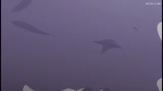 Don't worry, there's more than enough for you all [u/Careful_Access9663]