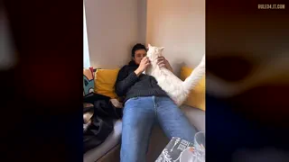 Skull Knight On vs Off (Pussy) [u/Cyber_Connor]