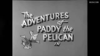 There is no porn of Paddy the Pelican. This is a call to action (Paddy) [The Adventures Of Paddy The Pelican] [u/PooPooFartBoi]
