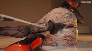 Makima from [Chainsaw Man] (Creamy Spot) [u/Opall_waves]