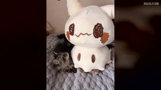 Frieren gótic by Akumu [u/Amaii_Akumu]