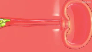 I thought I was finally strong enough to take on a high level monster all by myself.. [u/HalovianAngel]