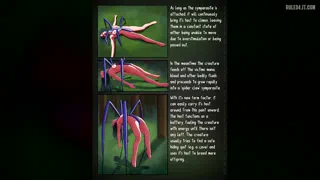 #004 'spider claws' symparasite (Caption/comic Hybrid By Timn_art) [u/Timn_art]