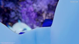 Preview at 00:14