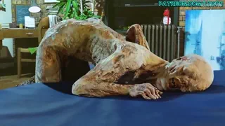 Jill Valentine infected with a special strain of the T Virus (Lecok3d) [Resident Evil 3 Remake] [u/SpiritualPublic1245]