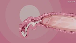 He won... I have to accept it... and by law I am expected to bear his child [u/BrokeOnMora]