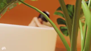 Riding on a hot day - Jez Cowgirl Animation [Goodluke] [u/GoodLukeSaga]
