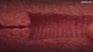 Preview at 00:10