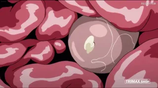 Preview at 00:29