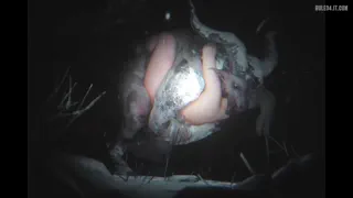 Preview at 00:39