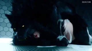 Preview at 00:33