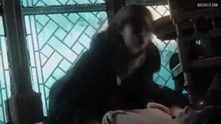 Malenia take care of the elden lord [Nagoonimation] [u/Azemmoon]